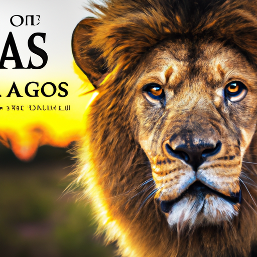 What Is The IUCN Status Of African Lions? - African Lions