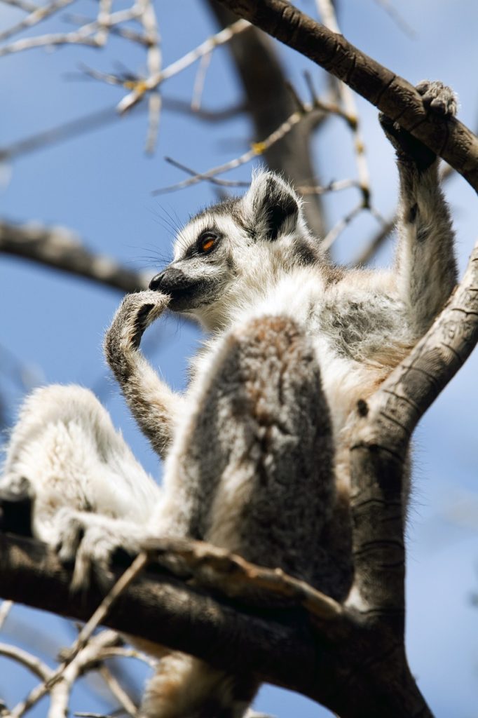 Conservation Education In Local Schools: Inspiring The Next Generation