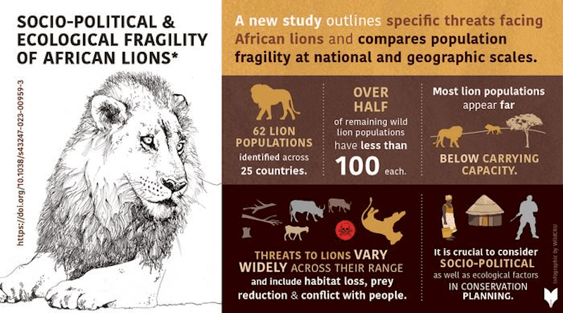 New Analysis Reveals Differing Threats To African Lion Populations