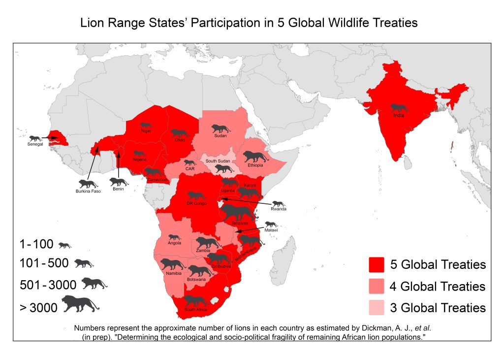 Lion Conservation And International Agreements